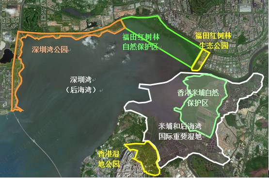       福田红树林生态公园在深圳